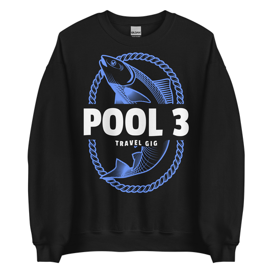 POOL 3